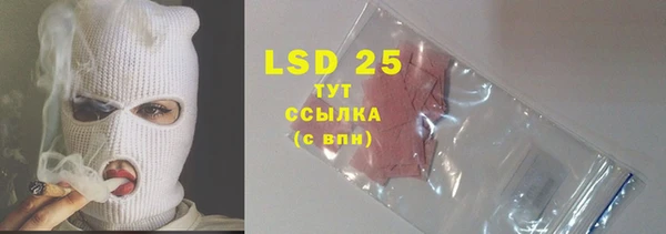 ПСИЛОЦИБИНОВЫЕ ГРИБЫ Наволоки