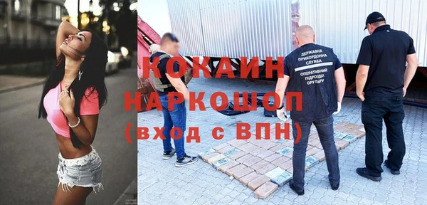 прущие грибы Медвежьегорск