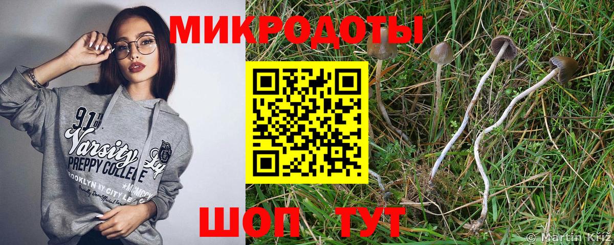 Галлюциногенные грибы Magic Shrooms Мурино