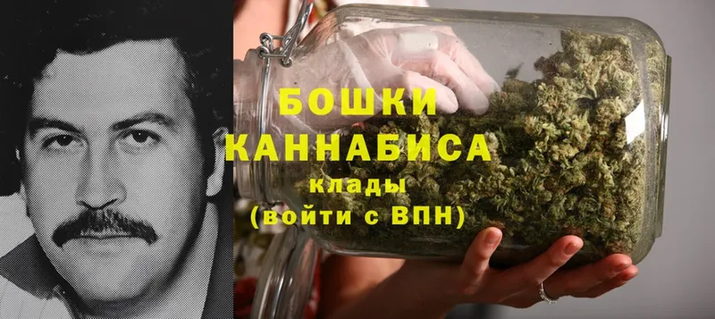 Шишки марихуана THC 21%  как найти закладки  Мурино 